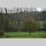 a20delle-DSC_0741