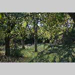 a20delle-DSC_0742