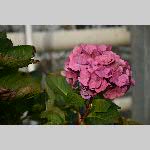 a20delle-DSC_0744