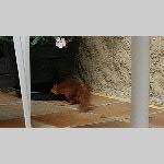 a20it-IMG-20200628-WA0004