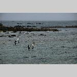 a20pspo-DSC_0414
