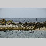 a20pspo-DSC_0415