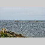 a20pspo-DSC_0420