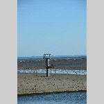 a20stpair-DSC_0129