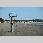 a20stpair-DSC_0133