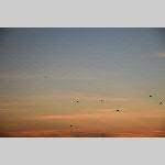a20stpair-DSC_0305