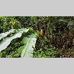 a20bt-20200123_134935