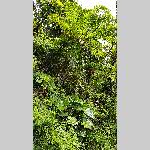 a20bt-20200123_143805
