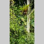 a20bt-20200123_145225