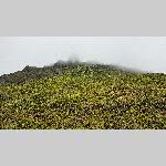 a20bt-20200124_133131