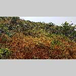 a20bt-20200124_135809