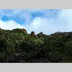 a20bt-20200124_154348