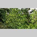 a20bt-20200126_142245