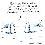 a21amb-IND_21_46_05