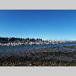 a21bs-20211122_125849