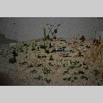 a21frac-20210918_152141
