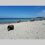 a21j10-20210913_122747