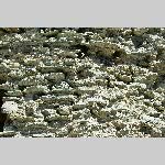 a21j10-20210913_130912