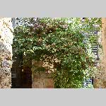 a21j11-20210914_112943