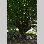 a21j14-20210917_163014