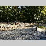 a21j15-20210918_101734