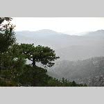 a21j3-20210906_153948
