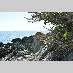 a21j9-20210912_111546