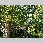 a21erd-20210826_123950