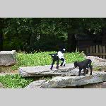 a21zoo-20210709_110522