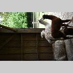 a21zoo-20210709_111327