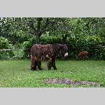 a21zoo-20210709_111408
