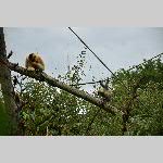 a21zoo-20210709_112752