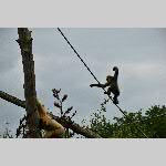 a21zoo-20210709_112901