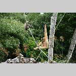 a21zoo-20210709_113036