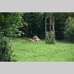 a21zoo-20210709_113709