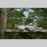 a21zoo-20210709_114416