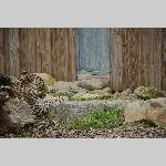 a21zoo-20210709_114434