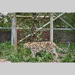 a21zoo-20210709_114702