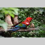 a21zoo-20210709_121241