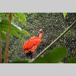 a21zoo-20210709_121426