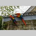 a21zoo-20210709_121722