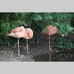 a21zoo-20210709_122536