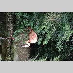 a21zoo-20210709_122600