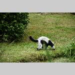 a21zoo-20210709_132638