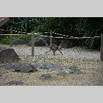 a21zoo-20210709_133156