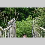 a21zoo-20210709_133607