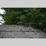 a21zoo-20210709_134038