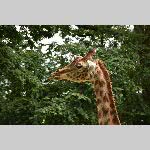 a21zoo-20210709_135121