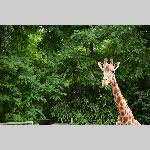 a21zoo-20210709_135255