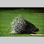 a21zoo-20210709_142333